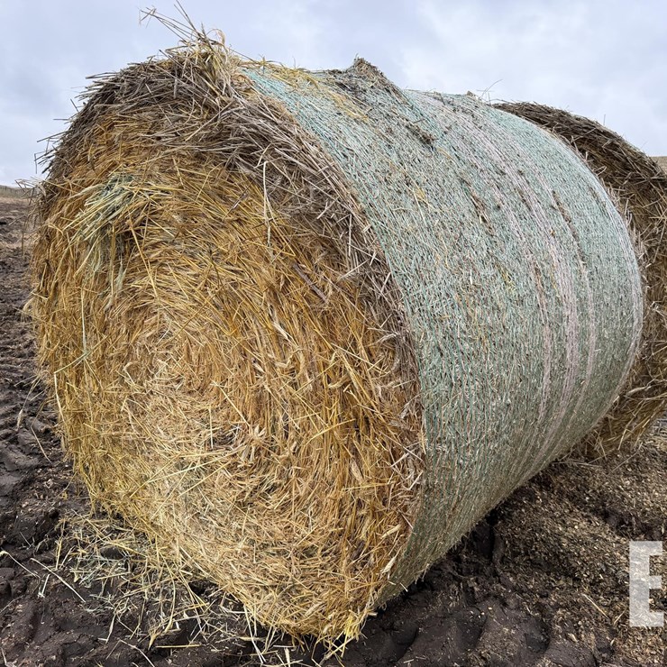 180X DURUM BALES