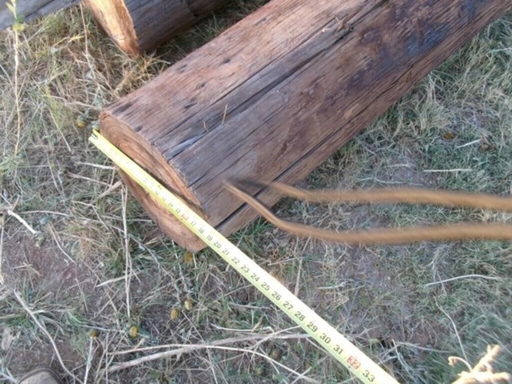 post,-large-cresot-4pcs-9-1/2'-to-12'-long-image-5