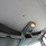 2005-international-durastar-4300-image-8