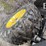 2012-john-deere-gator-rsx-850i-sport-image-20