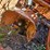 #2524-•-1948-case-la-tractor-image-16