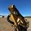 2002-trackless-mt5t-image-29