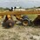 rome-345-heavy-duty-tandem-disk-harrow-image-8
