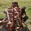 orange-three-bottom-tractor-plow-with-steel-frame-and-moldboards-image-5