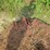 red-rotary-cutter-tractor-implement-with-pto-shaft-image-4