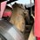 1999-new-holland-590-image-30