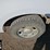 2008-ford-f150-image-10