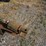artsway-425-image-20