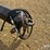 2005-t/a-grain-pup-trailer-image-5