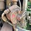 deere-703jh-image-30