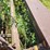 #2539-•-lely-ts-sb150-rotivator-seeder-image-18