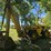 #2533-•-bucyrus-erie-200-4-series-iii-dynahoe-backhoe-image-3
