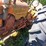 #2525-•-case-tractor-image-15