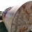 calf-shed,-12'x15'-image-3