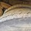 1999-volvo-wg64-image-95