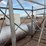 farm-fuel-tank-with-stand-image-9