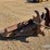 excavator-hydraulic-chuck-blade-image-3