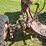 #2527-•-bf-avery-tractor-image-16