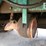 2009-peterbilt-320-image-25