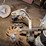 36x-dawn-row-cleaners-image-2