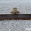8’-3-pt-blade-image-6