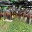 john-deere-2623-image-53
