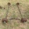 10/19-d&b---area-farmers-ringwood--cherokee--kingfisher-image-2
