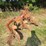 orange-three-bottom-tractor-plow-with-steel-frame-and-moldboards-image-1