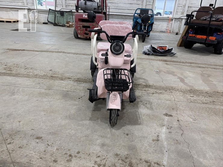 2026-irgc40-mini-golf-cart-#3-(pink)-10090-image-2