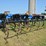landoll-2110-13-image-9