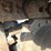 caterpillar-330b-image-65