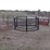 3-hay-rings--1-polly-&-2-metal-image-2