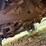 2003-ford-f350-image-71