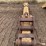 caterpillar-320-image-2