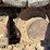 deere-85g-image-59