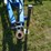 landoll-2110-13-image-3