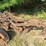 tractor-drawn-pull-type-moldboard-plow-image-2