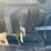 2019-polaris-ranger-xp-image-16