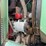 champion-720a-vhp-image-21