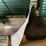 1994-john-deere-893-image-5