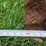 2011-summers-mfg-supercoulter-image-17