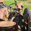 #2525-•-case-tractor-image-25
