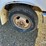 1997-ford-f350-xl-image-22