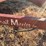 16'-trail-master-flatbed-trailer-image-3
