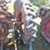 #2525-•-case-tractor-image-28