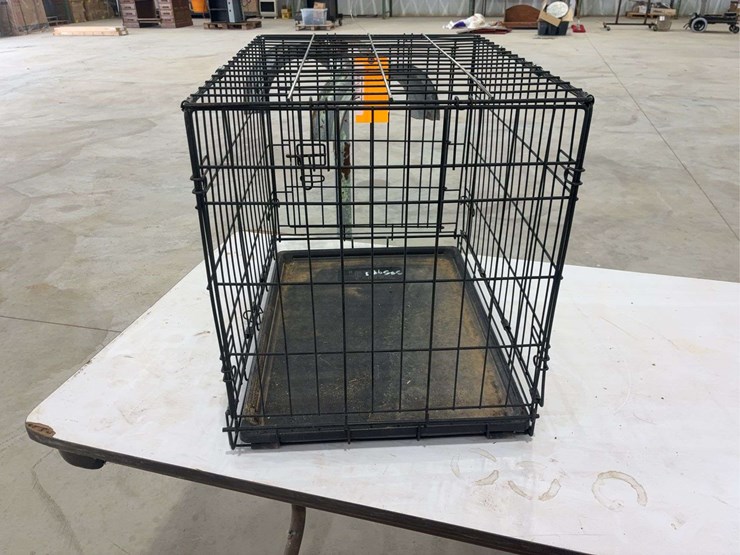 small-kennel-image-3