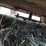#44761-•-ford-i06-5'-3pt-cutter-35807-inv#44761-image-8