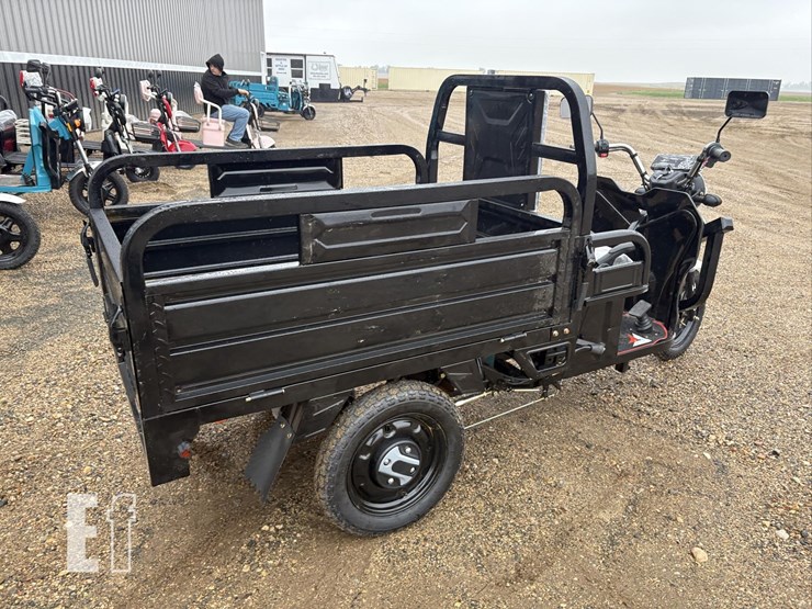 2026-iret13-electric-tricycle-#4-(black)-10094-image-5