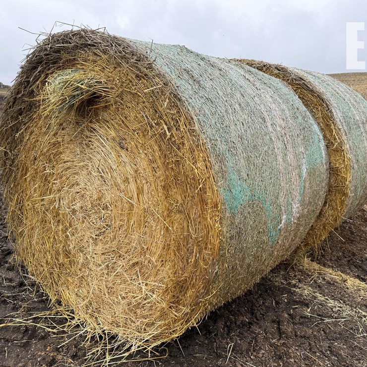 390X OATS BALES
