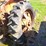 #2525-•-case-tractor-image-29